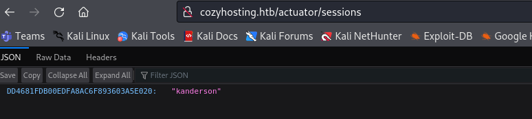 Actuator sessions leak
